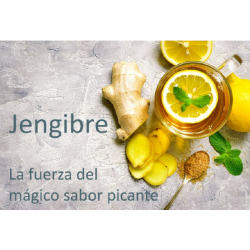 CHICLE DE JENGIBRE CON XILITOL Y STEVIA GINJER